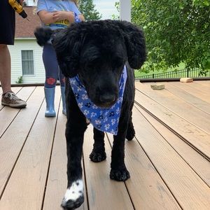 Meet your Posher, Danika